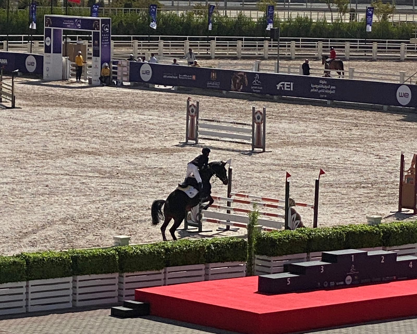 طلاب جامعة حلوان يشهدون منافسات بطولة مصر الدولية للفروسية المؤهلة لكأس العالم