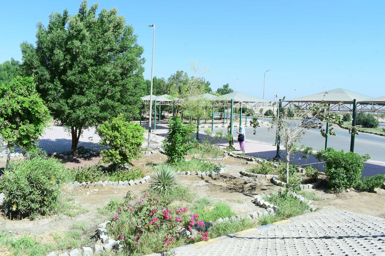 رئيس جامعة سوهاج يقود مبادرة لزراعة 750 مترًا من المساحات الخضراء بكلية الهندسة