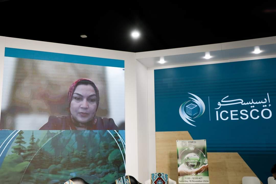 مصر تدعم الابتكار وريادة الأعمال في مؤتمر COP29 بأذربيجان