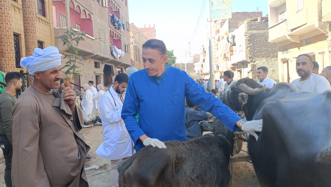 قوافل بيطرية مجانية من جامعة سوهاج تصل إلى قرية الرويهب