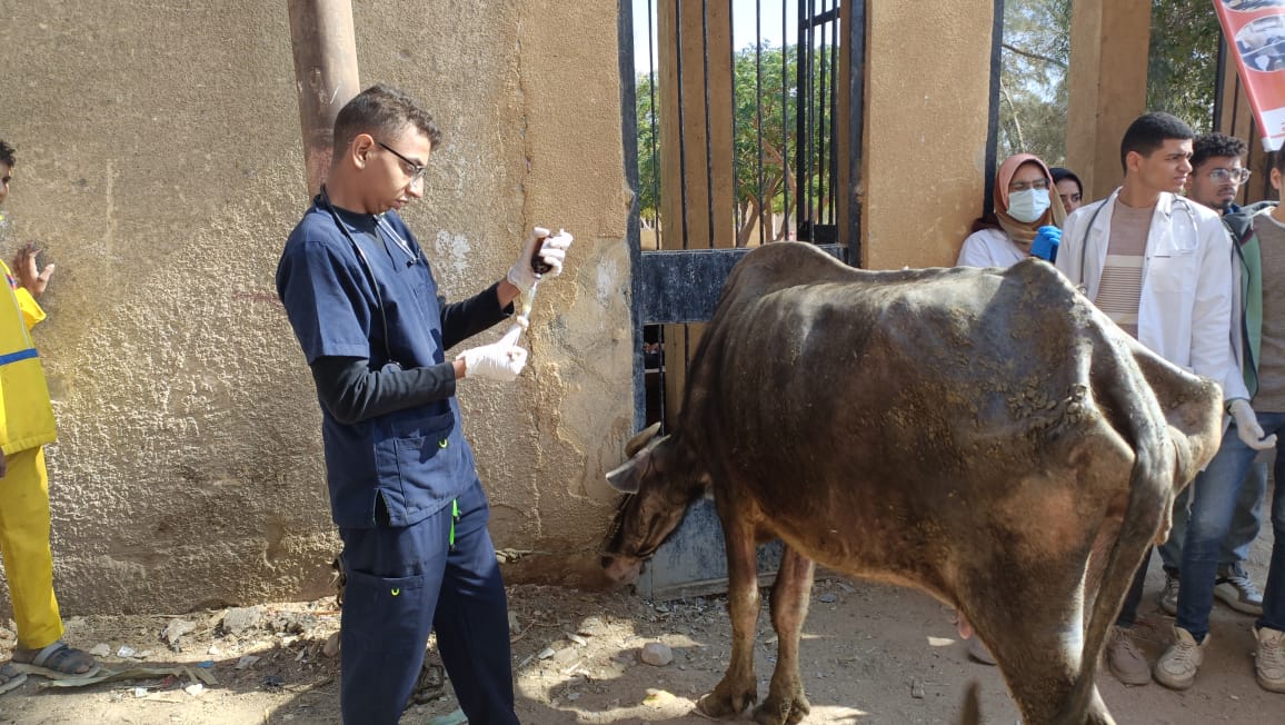 جامعة سوهاج تواصل إطلاق قوافلها البيطرية المجانية لقرية الكوله 