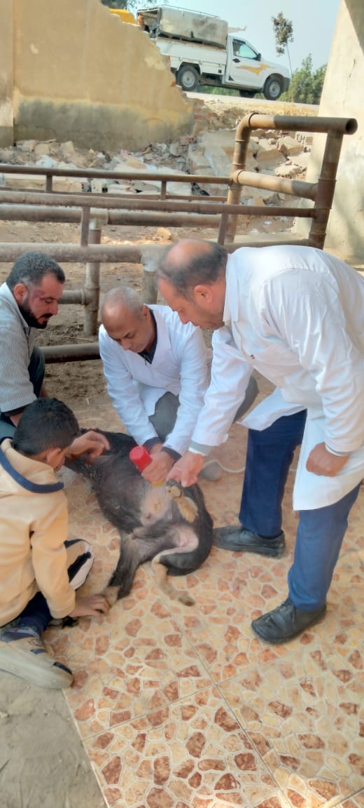 جامعة الزقازيق تنظم قافلة طبية توعوية شاملة
