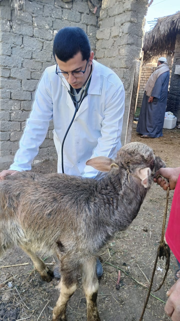 جامعة الزقازيق تُطلق قافلة بيطرية مجانية لخدمة قرية الشبانات