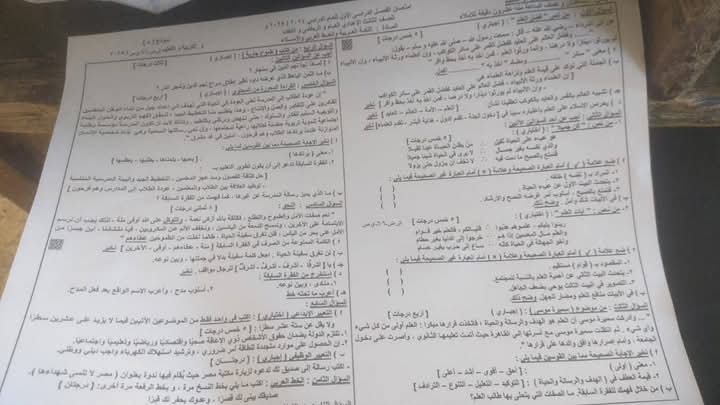 WhatsApp Image 2025-01-18 at 1.41.21 PM