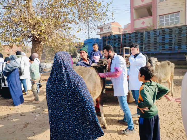 جامعة المنوفية تطلق قافلة بيطرية مجانية لخدمة قرى قويسنا