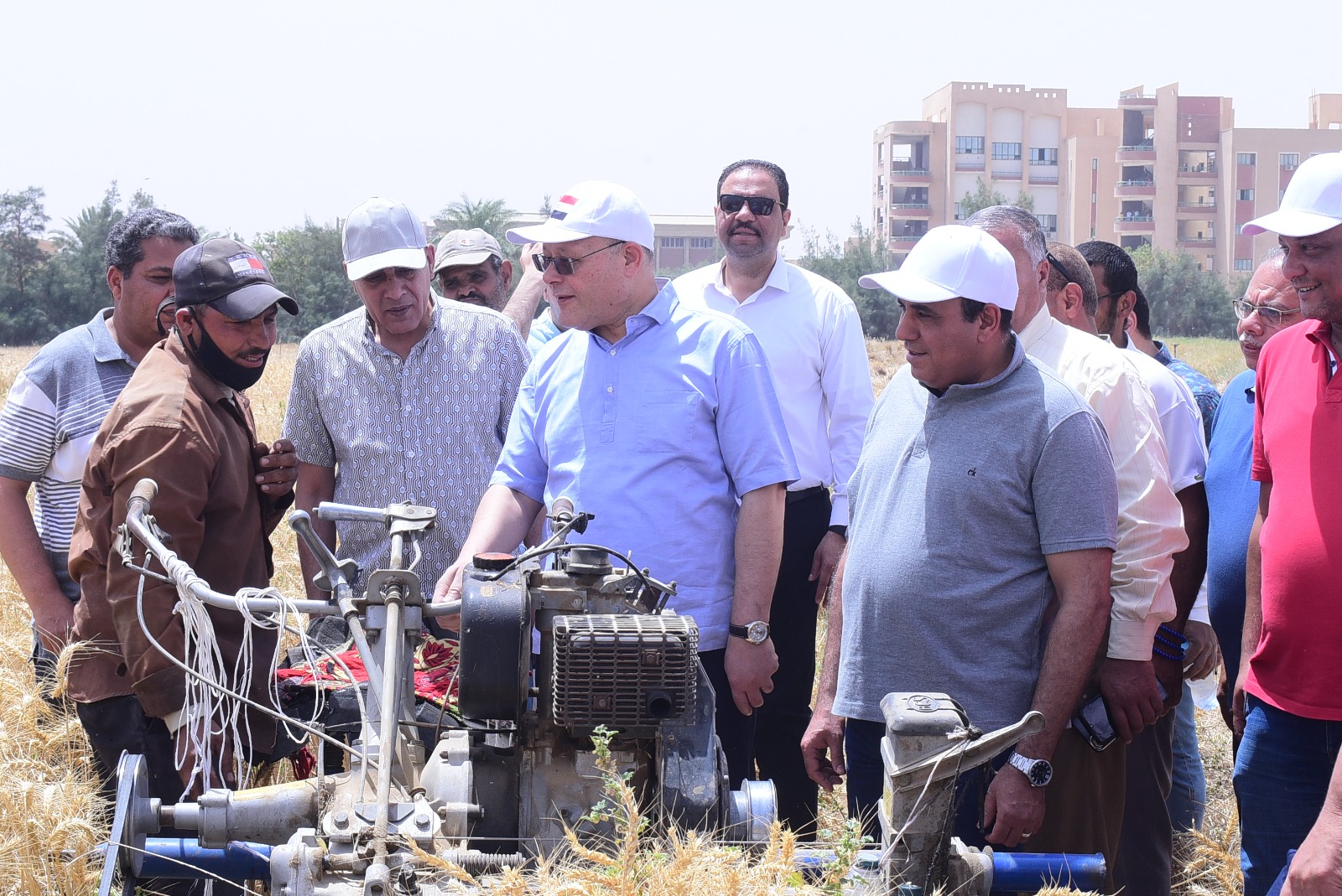 جامعة سوهاج تبدأ حصاد تقاوي القمح بمزرعتها التدريبية