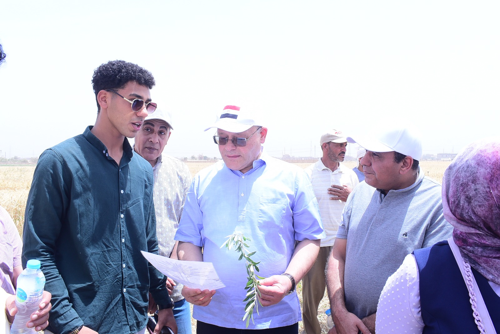 جامعة سوهاج تبدأ حصاد تقاوي القمح بمزرعتها التدريبية