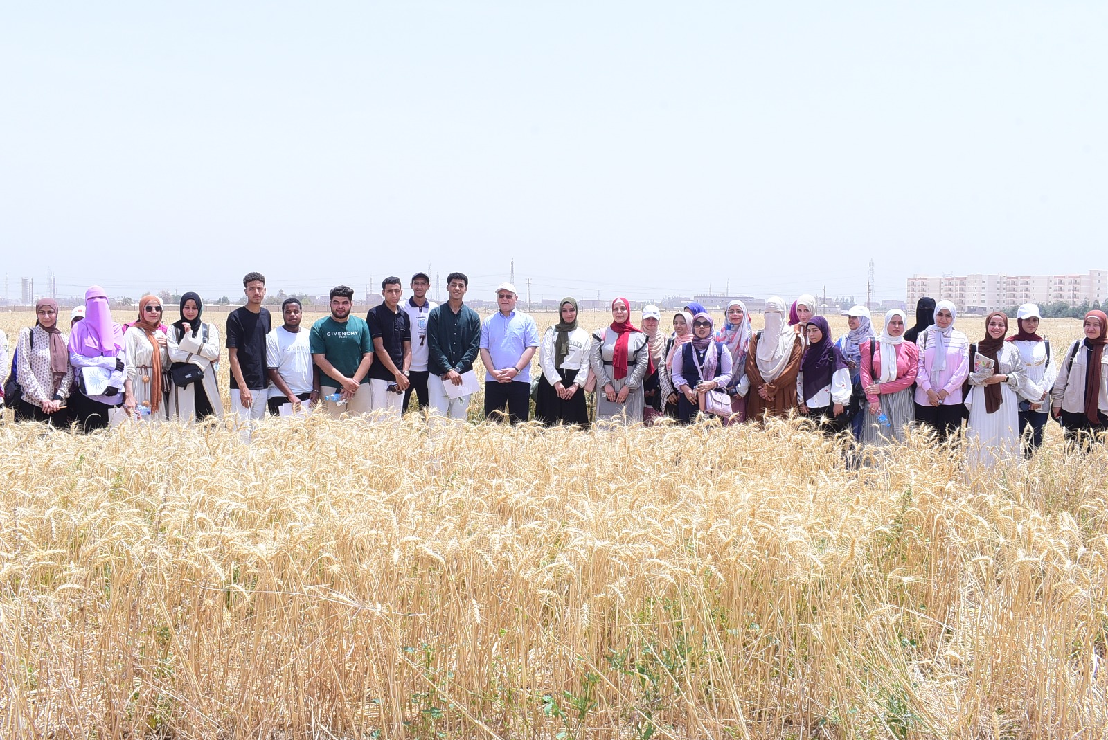 جامعة سوهاج تبدأ حصاد تقاوي القمح بمزرعتها التدريبية