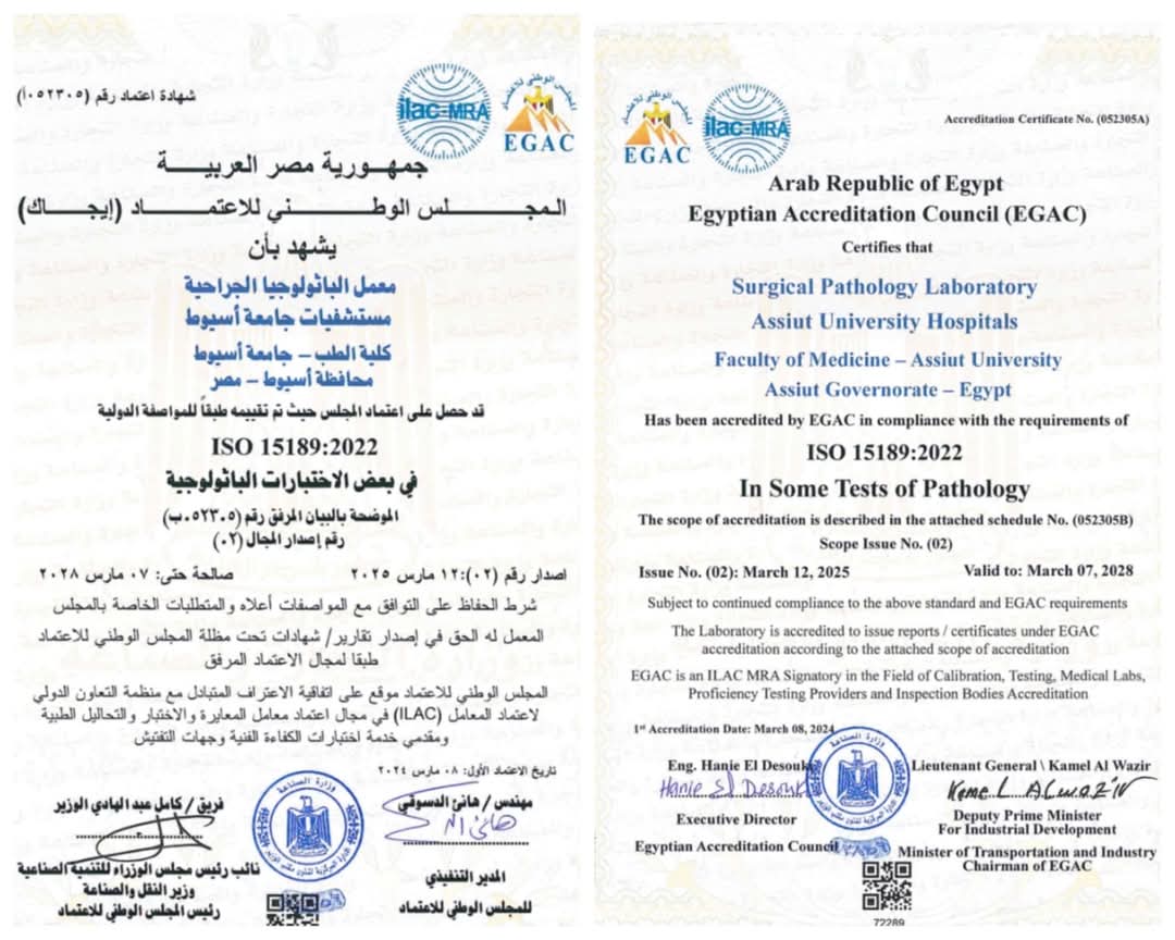 جامعة أسيوط تحقق إنجازًا جديدًا باعتماد معمل الباثولوجيا الجراحية الجامعي