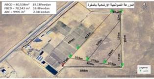 مشروع مزرعة المغرة الذكية بالصحراء يحقق الأمن الغذائي وفقًا لرؤية مصر 2030