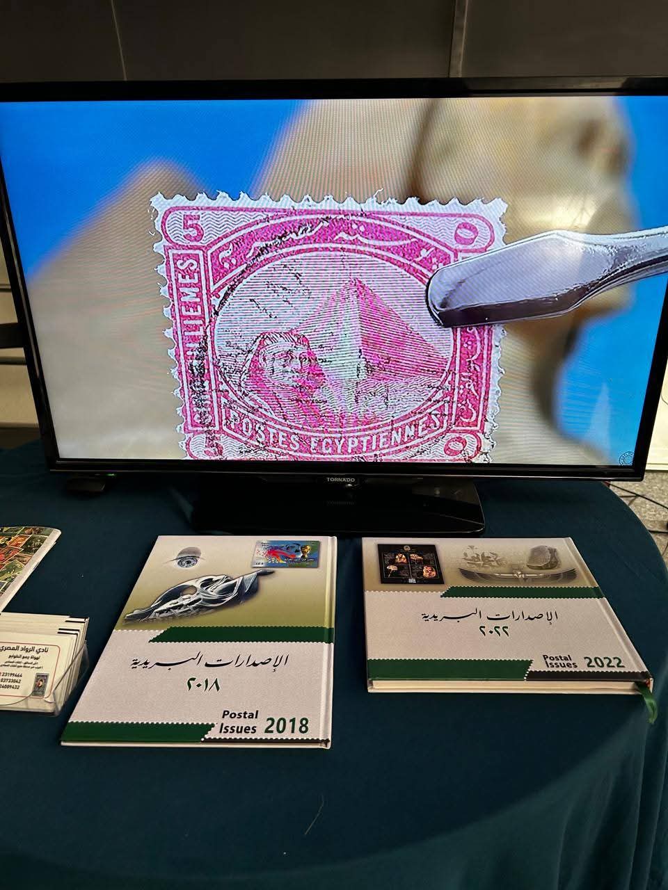 جامعة حلوان تُبدع في فعالية بالمتحف القومي للحضارة المصرية