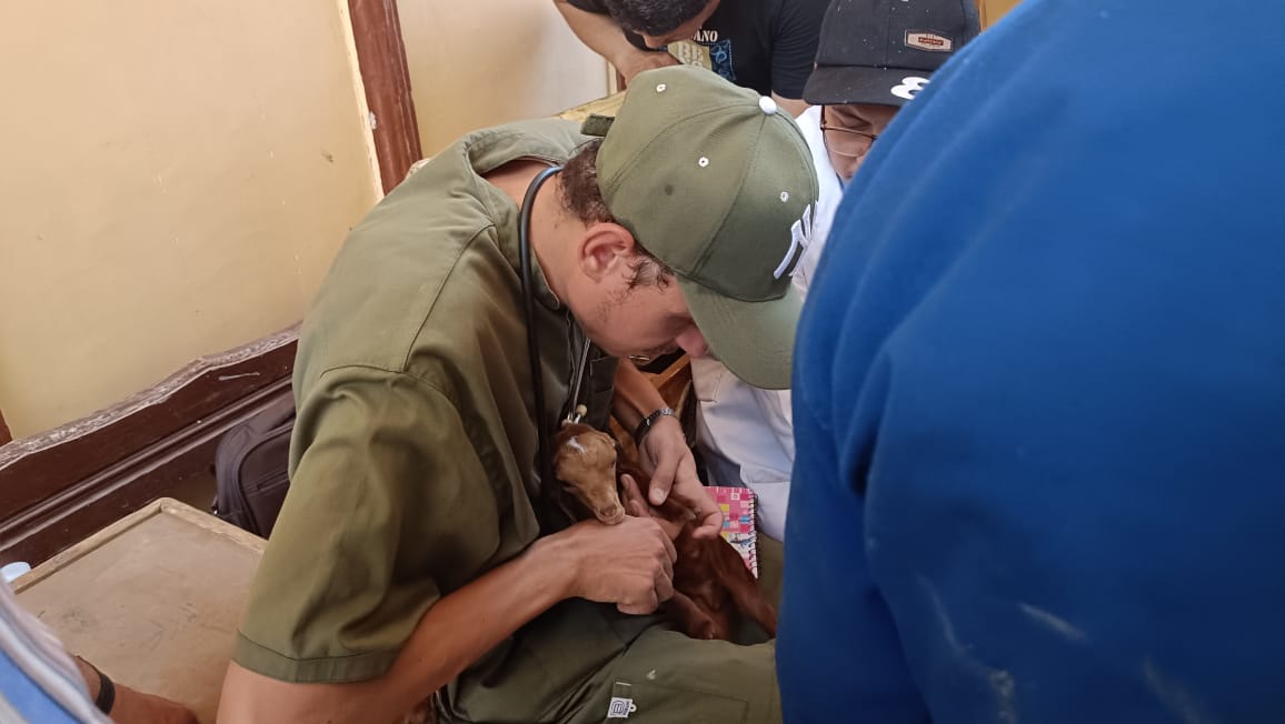 جامعة سوهاج تنظم قافلة طبية بيطرية بقرية النغاميش ضمن مبادرة حياة كريمة