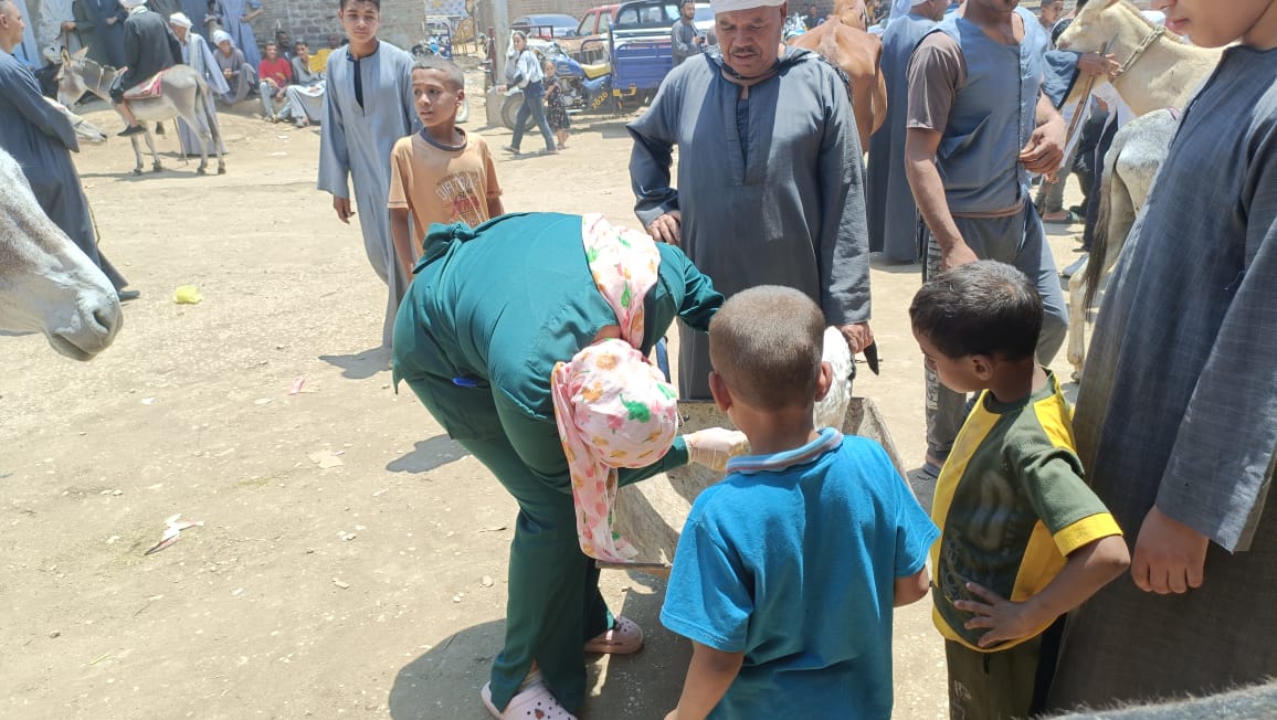 جامعة سوهاج تنظم قافلة طبية بيطرية بقرية النغاميش ضمن مبادرة حياة كريمة