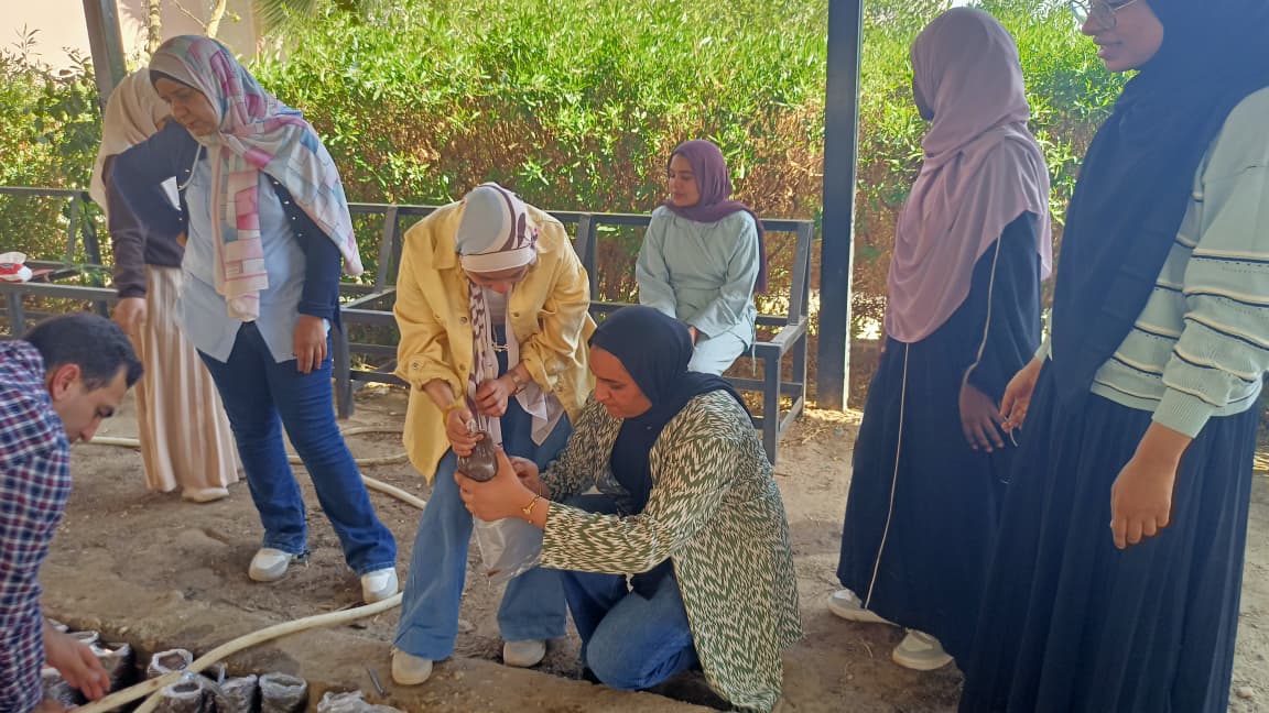 مبادرة التشجير تعزز الاستدامة داخل جامعة الأقصر