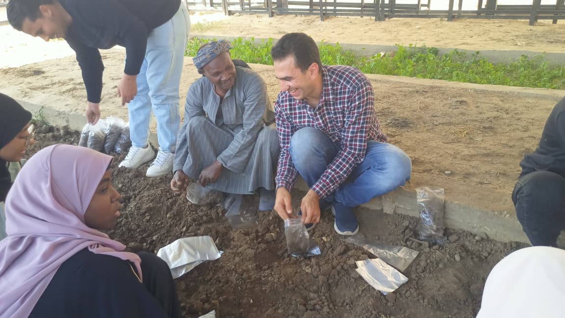 مبادرة التشجير تعزز الاستدامة داخل جامعة الأقصر