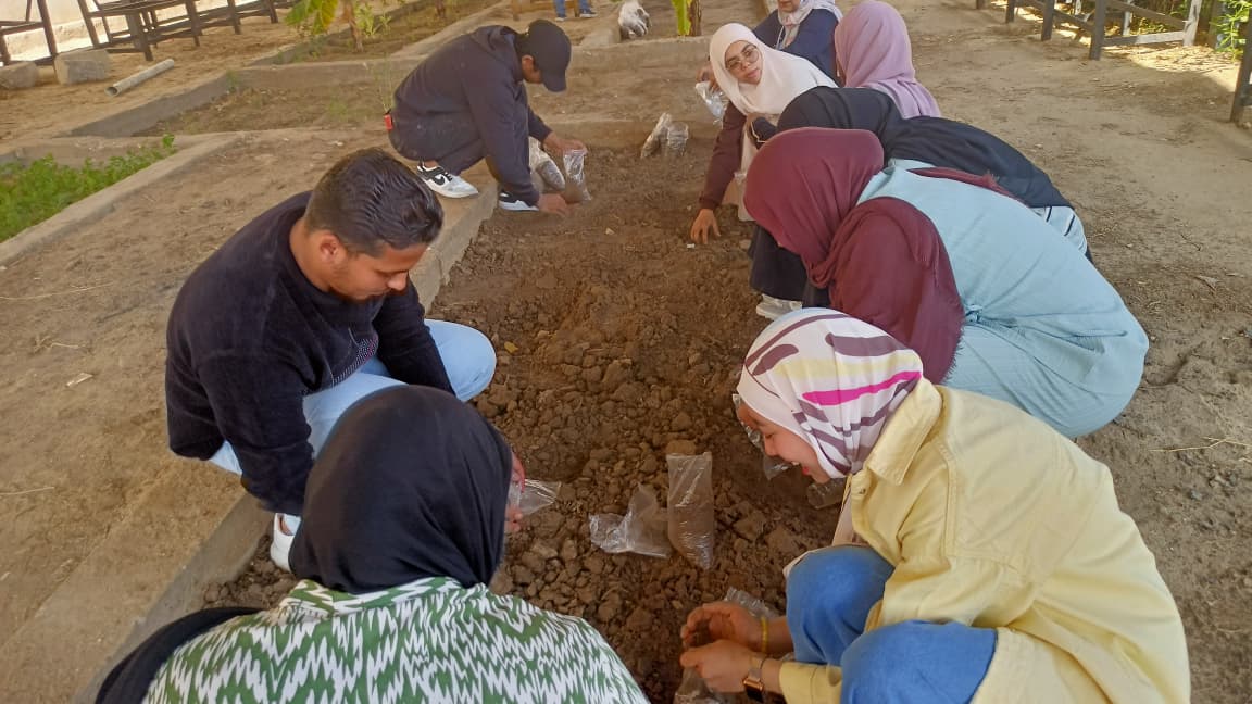 مبادرة التشجير تعزز الاستدامة داخل جامعة الأقصر