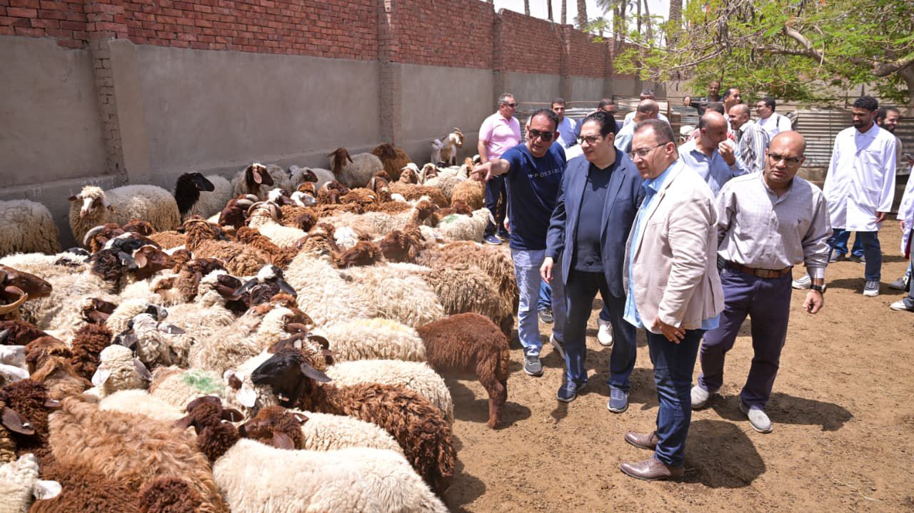 جامعة القاهرة ترفع جاهزية محطة التجارب والبحوث الزراعية بكلية الزراعة للتدريب