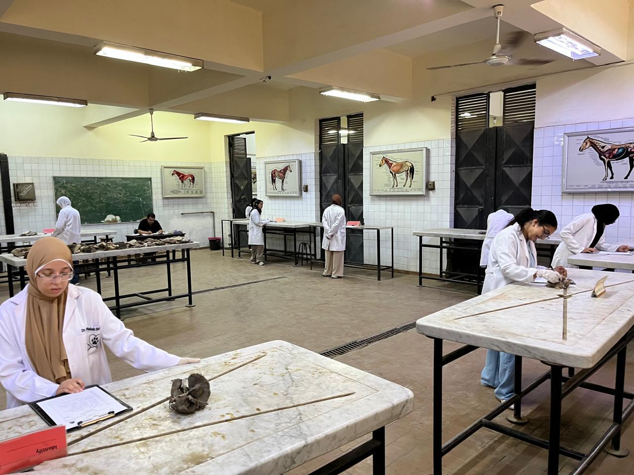 اختبارات عملية متميزة بالقطاع الصحي داخل جامعة القاهرة الأهلية تعكس جودة التدريب