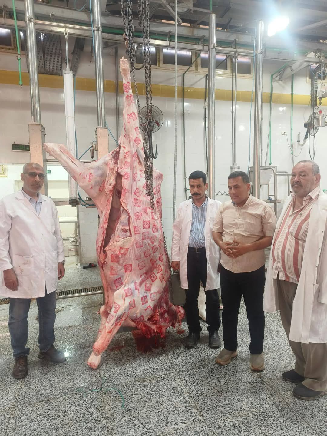 جامعة السادات تعلن جاهزية مجزر شبين الكوم لاستقبال الأضاحي