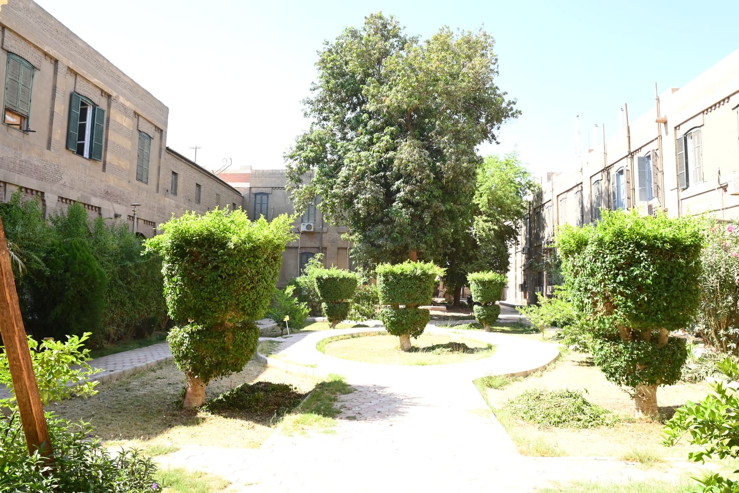 جامعة حلوان