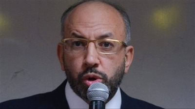 النائب حسام المندوه: قرارات الرئيس السيسي برفع المرتبات أسعدت جموع المصريين