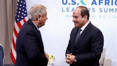 السيسي يستقبل السيناتور 