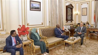 الخشت يبحث مع سفير جيبوتي التعاون المشترك فى المجالات البحثية