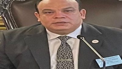 السيرة الذاتية للمستشار حازم بدوي الرئيس الجديد للهيئة الوطنية للانتخابات