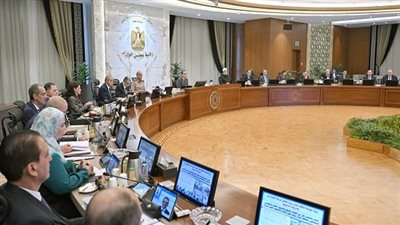 رئيس الوزراء يلتقى رئيس شركة 