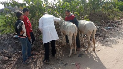745 حالة حصاد قافلة جامعة الزقازيق اليوم بقرية بحطيط مركز أبوحماد بالشرقية