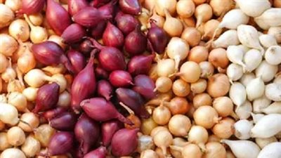 نقيب الفلاحين: سعر كيلو البصل من 5 إلى 10 جنيهات فى هذا الموعد