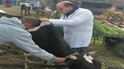 الكشف على 2323 حالة من الحيوانات والطيور بقافلة طبية بجامعة الزقازيق