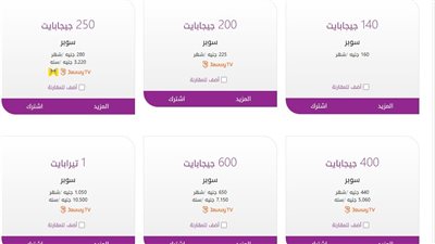 ارتفاع أسعار باقات الإنترنت الأرضى صدمة للمشتركين فى 