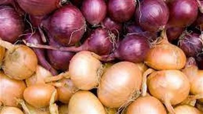 أسعار البصل تشهد استقرارا في الأسواق بعد زيادة المعروض