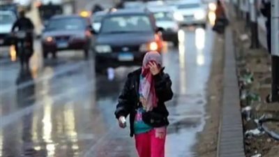 قرارات عاجلة من محافظات القاهرة والجيزة وبورسعيد بشأن تعطيل الدراسة غدا الخميس لسوء الطقس 