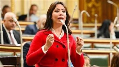 برلمانية تتقدم بطلب إحاطة لـ وزير التعليم العالى بشأن مستقبل المعاهد العليا