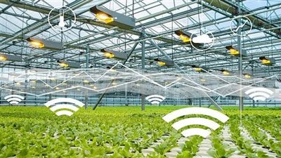 هيئة الاستشعار من البعد تدعم استخدام الزراعة الذكية.. تفاصيل