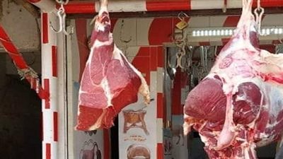 الزراعة..كيلو اللحمة البلدى بـ 300 جنيه والفراخ 100 جنيه.. والسكروأسعار السلع بخصومات تصل الى 50%