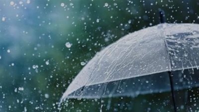 أمطار رعدية وانخفاض الحرارة.. الأرصاد تكشف عن حالة الطقس اليوم الثلاثاء