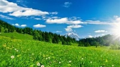 الدنيا ربيع والجو مش بديع.. بداية فصل الربيع رسميا وموعد شم النسيم