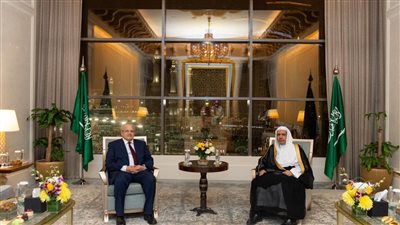 الخشت يبحث سبل تجسير الفجوة بين المذاهب الإسلامية مع الأمين لرابطة العالم الإسلامي 