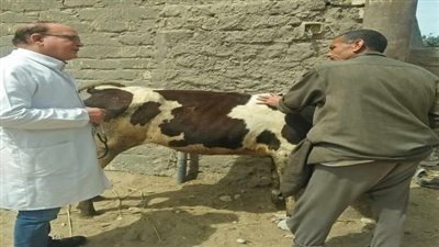 أخبار الجامعات | جامعة الزقازيق توجه قافلة بيطرية لقرية كفر أبو نجم بالشرقية