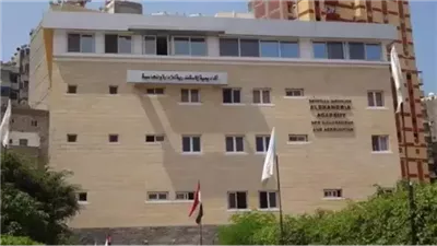 التفاصيل كامله.. المعهد المصري لأكاديمية الاسكندرية يعلن حاجته إلى أعضاء هيئة تدريس من الأستاذ إلى المعيد.. وظيفة جامعه