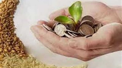 بعد تحديد زكاة الفطر 2024 نقدًا.. المفتي العام بالسعودية يثير الجدل لا يجوز وتعارض سنة النبي 