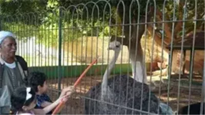 تعرف على مواعيد عمل حديقة الحيوان في عيد الفطر.. وأسعار التذاكر