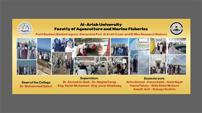 أخبار الجامعات.. كلية الاستزراع المائي بجامعة العريش تفوز بتمويل عدد من المشاريع من أكاديمية البحث العلمي