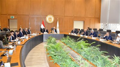 أخبار الجامعات|التعليم العالي تبحث سبل التعاون بين الجامعات المصرية والألمانية بمشاركة رئيس جامعة القاهرة