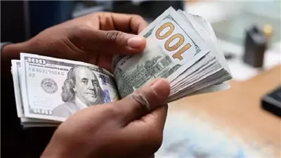 كيف يتم فتح حساب بالدولار في البنك الاهلي المصري؟ الشروط والوثائق المطلوبة في البنك الأهلي المصري 2024