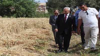 أخبار الجامعات | رئيس جامعة المنيا يفتتح موسم حصاد سلالات القمح عالية الإنتاج 