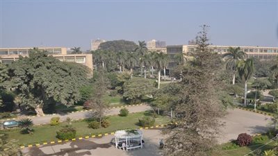 أخبار الجامعات | كلية الزراعة جامعة عين شمس تقيم الملتقي التوظيفي.. الخميس القادم